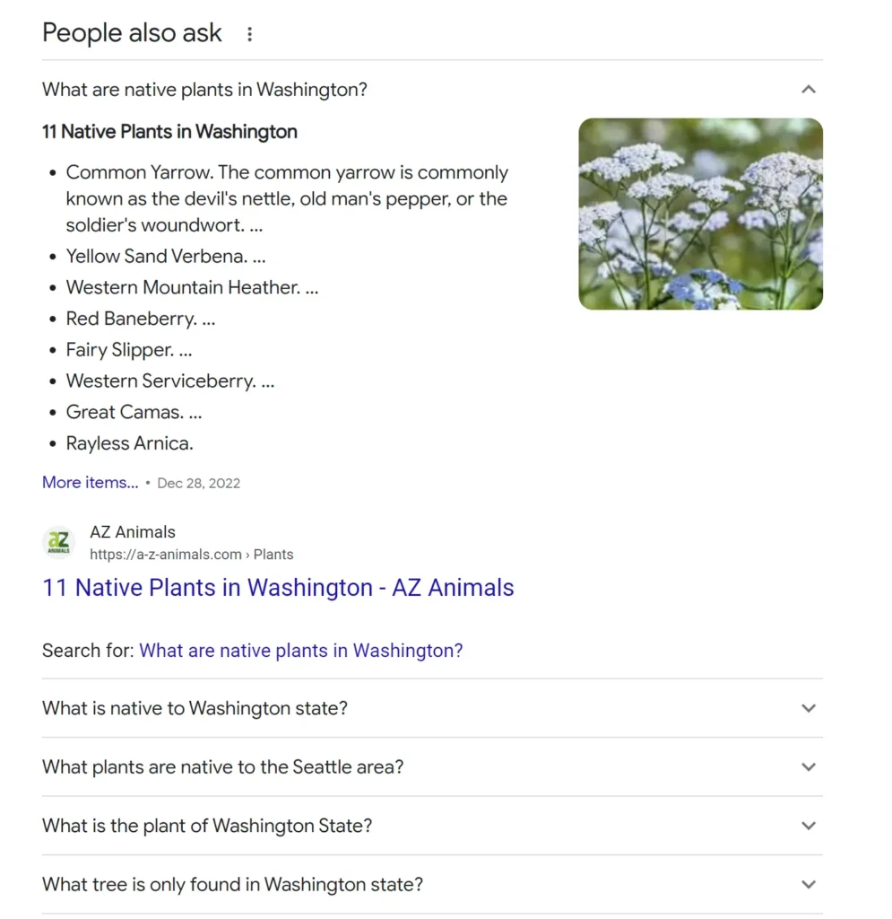 What Is SEO? Search Engine Optimization Best Practices