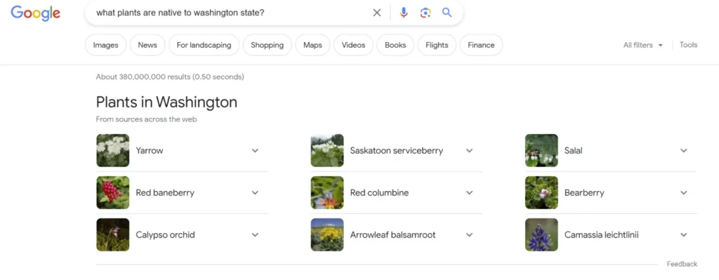 What Is SEO? Search Engine Optimization Best Practices